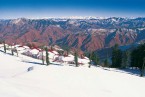 Chandigarh to Shimla,manali, dharamshala, dalhousie,Chandigarh 8 Days Tour
